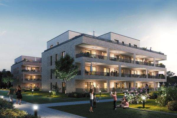 Schlie Leven an der Schlei!