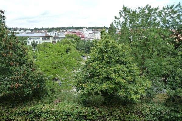 Ausblick