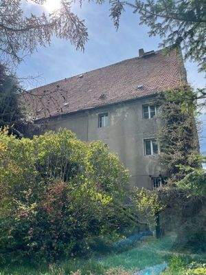 Bild 15