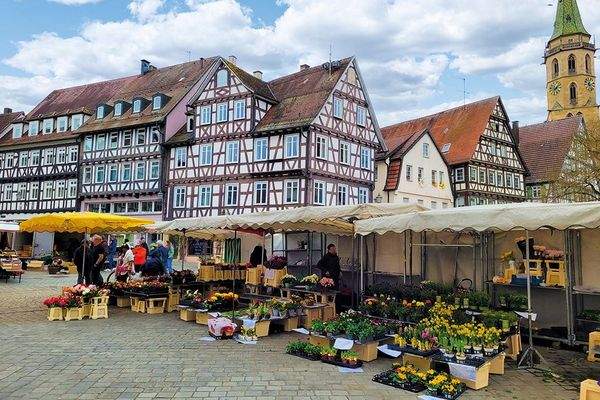 Markt