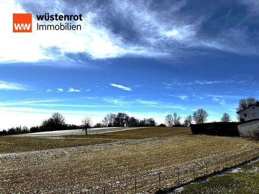 Ausblick in Richtung Ammersee