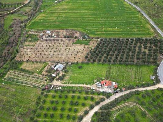 Kreta, Agies Paraskies: Großes Grundstück zu verkaufen