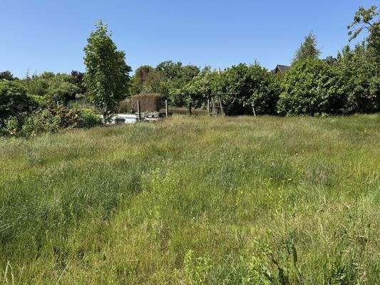Gartenansicht