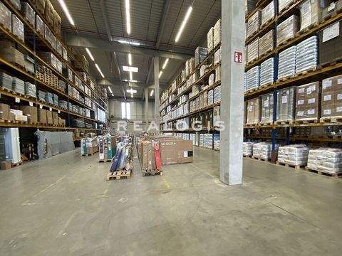 München Halle, München Hallenfläche