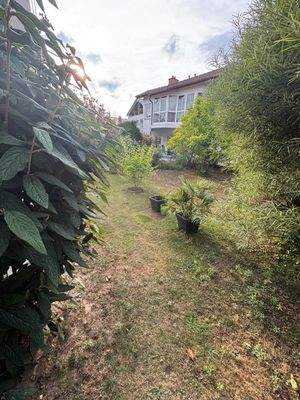 Gemeinsames Grünstuck hinter dem Haus