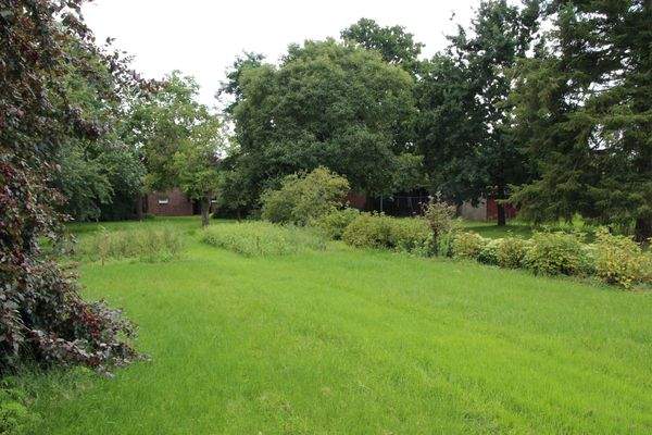 Platz für Obst- & Gemüseanbauten