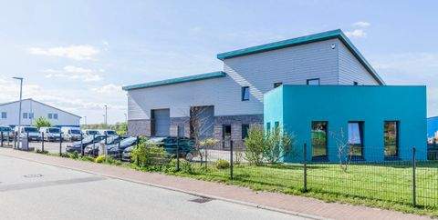 Owschlag Halle, Owschlag Hallenfläche