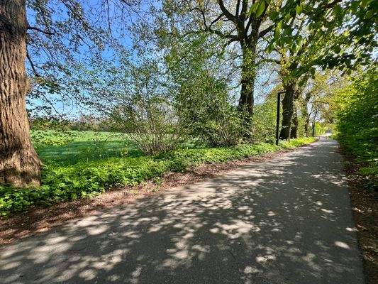 SCHRICK IMMOBILIEN: Ahrensburg