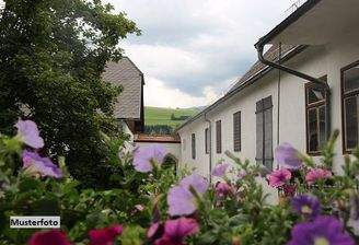 Keine Originalbilder