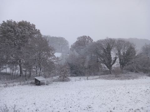 Westensee Häuser, Westensee Haus kaufen