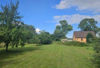 Wiese mit Obstbäumen