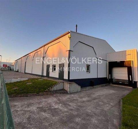 Einbeck Halle, Einbeck Hallenfläche