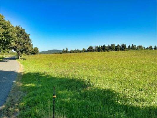 Wiese auf der anderen Straßenseite