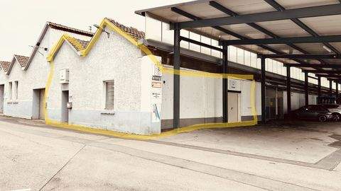 Wehr Halle, Wehr Hallenfläche