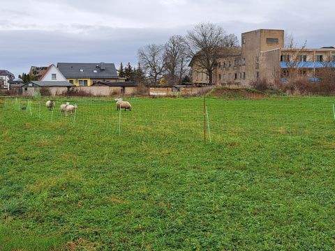 Mühlberg/Elbe Grundstücke, Mühlberg/Elbe Grundstück kaufen