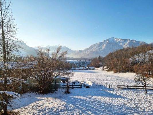 Ausblick vom Grundstück.jpg