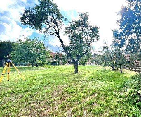 Platz genug zum glücklich sein!