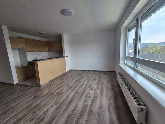 Wohnzimmer mit offener Küche