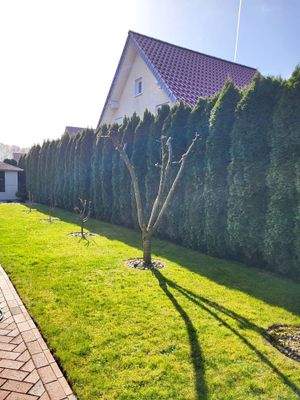 Garten mit Obstbäume 