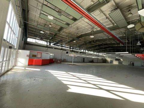 Hagenow Halle, Hagenow Hallenfläche