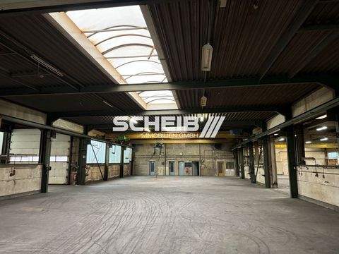 Hardthausen am Kocher Halle, Hardthausen am Kocher Hallenfläche