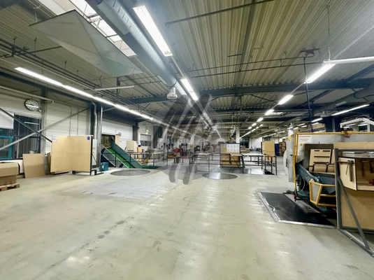 INFOS UNTER: 06171-586000