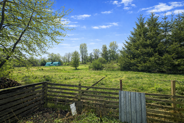Blick aus dem Grundstück.png