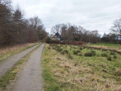 Steinau Häuser, Steinau Haus kaufen