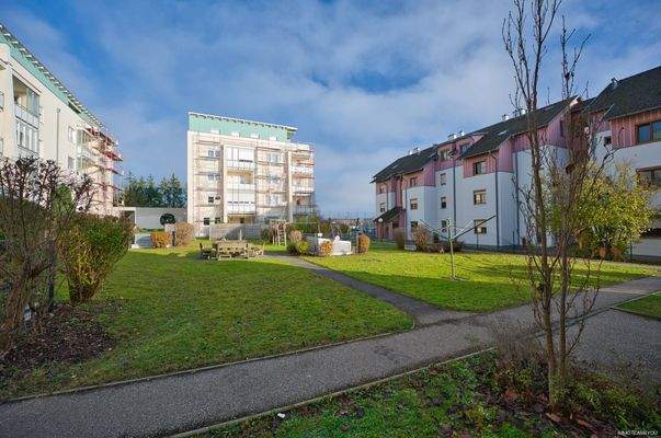 Der Spielplatz - die grüne Mitte DSC_9676