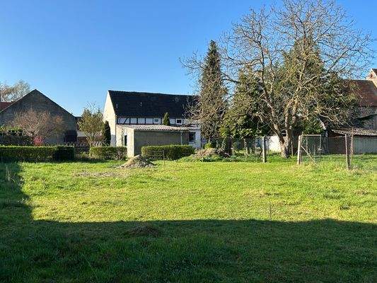 rückwärtige Wiese.jpg