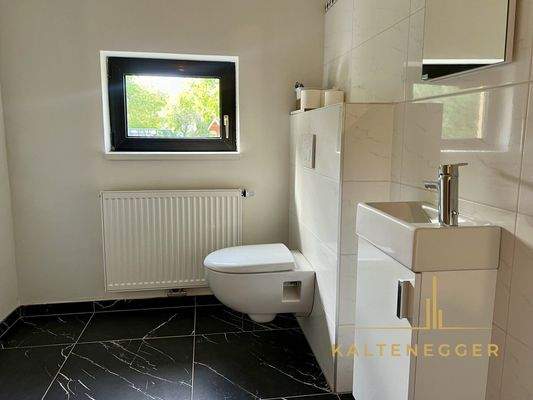 Separates  Wc mit Waschbecken hinteres Gebäude