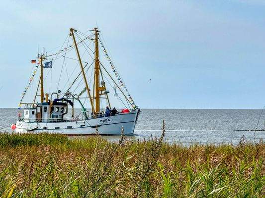 Krabbenkutter am Strand