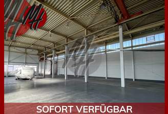 INFOS UNTER: 06171-586000