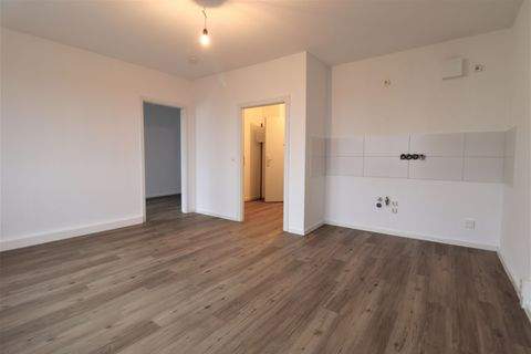 Dresden Wohnungen, Dresden Wohnung mieten