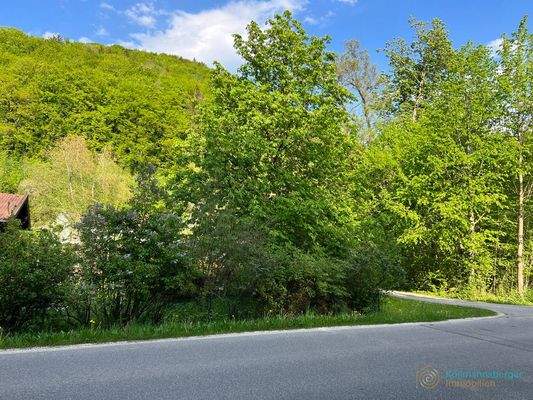 die Straßeneinfahrt zum Grundstück