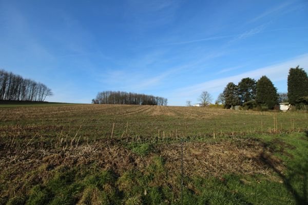 BLICK IN DIE UMGEBUNG, ANGRENZEND