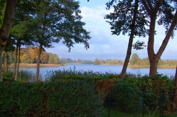 Blick auf den Vielitzsee - Bild 1