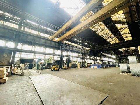 Duisburg Halle, Duisburg Hallenfläche