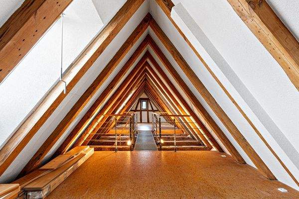 Mittlere Wohnung - Dachspitz