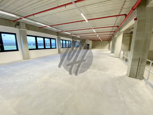 INFOS UNTER: 06171-586000