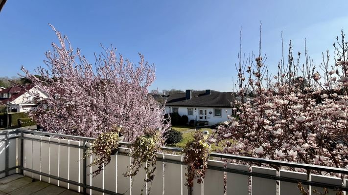 Blick vom Südbalkon