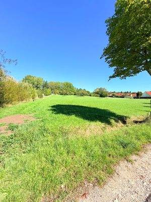 Blick ins Grüne.jpeg