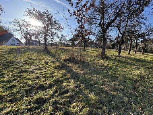 Grundstück verfügt über zwei Zufahrten