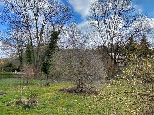 Blick in den weitläufigen Garten