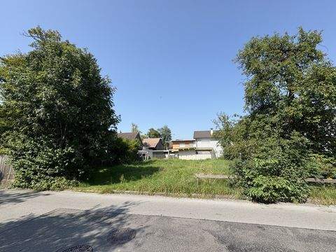 Hohenems Grundstücke, Hohenems Grundstück kaufen