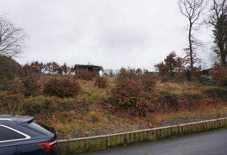 Straßenansicht vom Grundstück