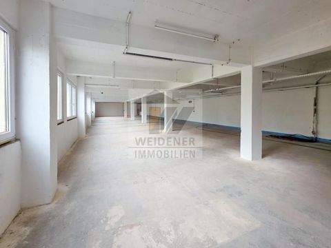 Gera Halle, Gera Hallenfläche