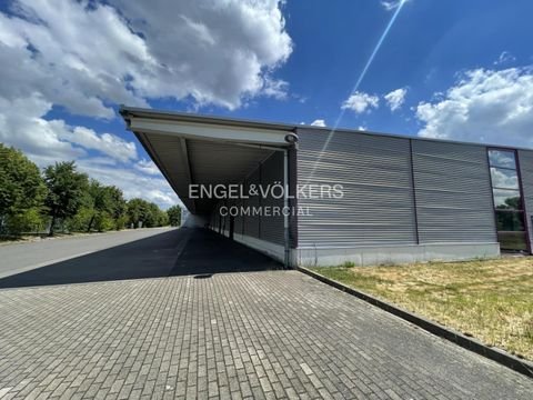 Hoppegarten Halle, Hoppegarten Hallenfläche