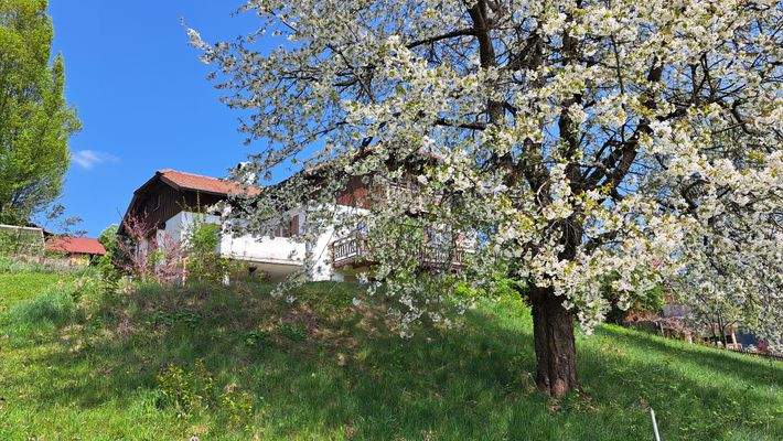 Außenansicht vom Garten 