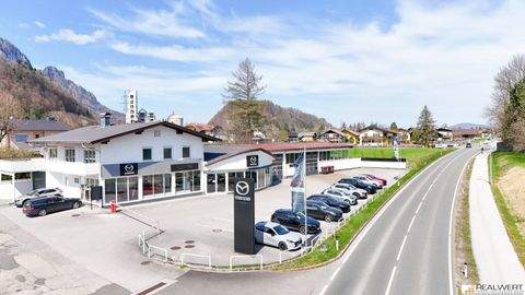 Hallein Halle, Hallein Hallenfläche